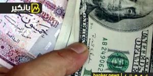 سعر الدولار أمام الجنيه المصري في تعاملات اليوم الجمعة 8-11-2024