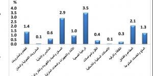 كيف تراجع معدل التضخم؟ الخضروات والفاكهة يتصدران أسباب تراجع معدل التضخم الشهرى - سعودي فايف