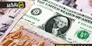 سعر الدولار أمام الجنيه المصري في تعاملات اليوم الخميس 14-11-2024