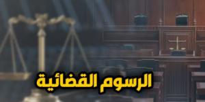 النقض تُرسخ لـ3 مبادئ قضائية بشأن تحصيل الرسوم القضائية وردها.. برلماني - سعودي فايف