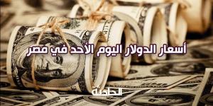 سعر الدولار اليوم الأحد في مصر 17 نوفمبر 2024.. بكام في البنك؟