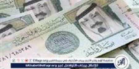 استقرار سعر الريال السعودي أمام الجنيه المصري اليوم السبت 16 نوفمبر 2024