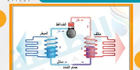 خبير: رفع كفاءة السيارات الكهربائية يتطلب تقنيات معينة.. وهذه أبرز التحديات