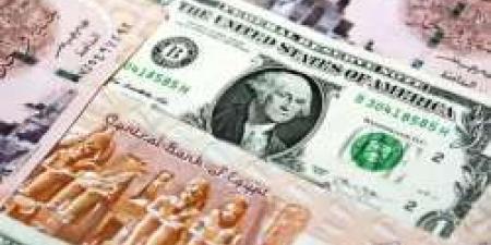 استقرار سعر العملة الأمريكية.. اعرف التفاصيل