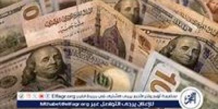 استقرار سعر الدولار مقابل الجنيه المصري اليوم الإثنين 18 نوفمبر 2024