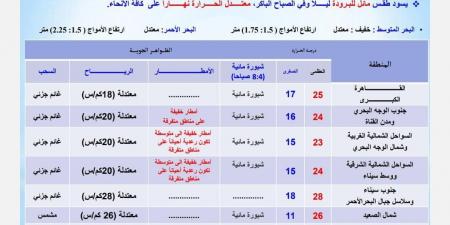 درجات الحرارة اليوم الأربعاء 20 نوفمبر 2024 في محافظات مصر