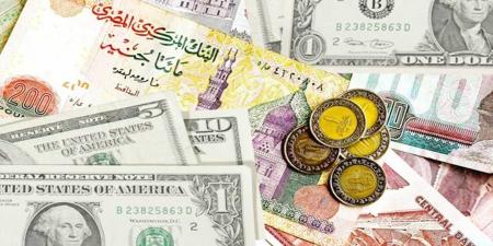 ارتفاع جديد في سعر الدولار مقابل الجنيه المصري .. أسعار العملات اليوم الأحد