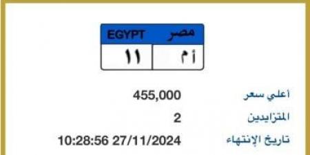 بنص مليون جنيه.. تفاصيل المزاد على لوحة معدنية مميزة