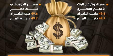 سعر الدولار اليوم الاثنين في مصر 25/11/2024 