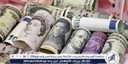 سعر الريال السعودي والدولار مقابل الجنيه المصري اليوم الأحد 1 ديسمبر 2024