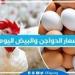 اسعار الدواجن اليوم الاربعاء 4-12-2024 في الدقهلية