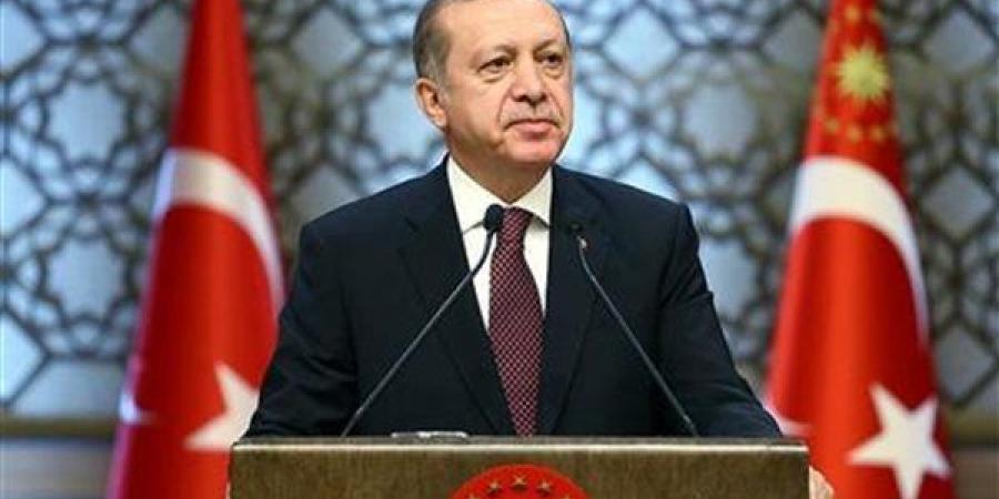 أردوغان: نأمل تنفيذ ترامب لوعوده بإنهاء حروب إسرائيل في الشرق الأوسط