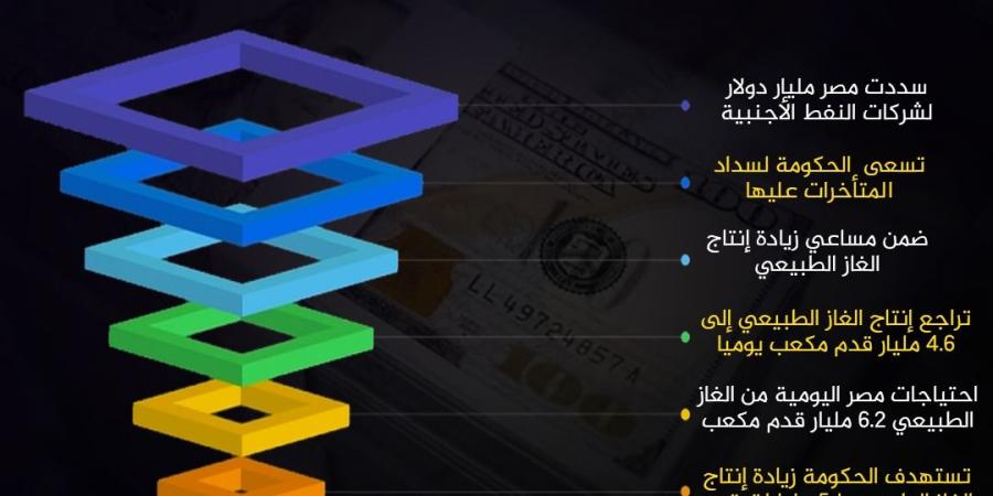 تفاصيل سداد مصر مليار دولار