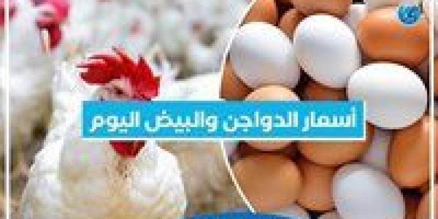 أسعار الدواجن والبيض اليوم الاثنين 11-11-2024 بمحافظة البحيرة