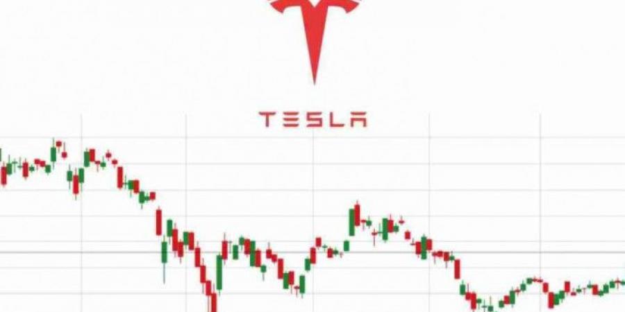 سهم تسلا ينخفض بنحو 6.15%
