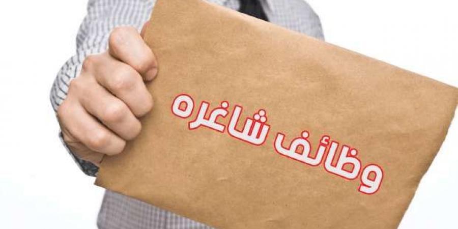 بمرتب 7500 جنيه شهريا.. وظائف خالية لجميع المؤهلات في الإسماعيلية