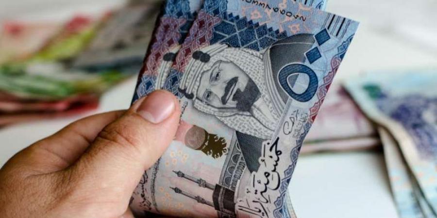 سعر الريال السعودي أمام الجنيه المصري اليوم الخميس 14 نوفمبر