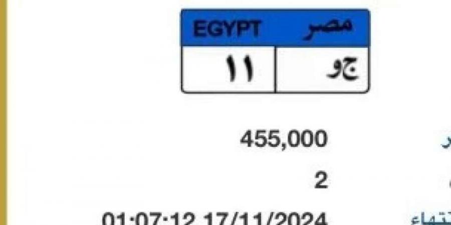 لأعلى سعر.. المرور تطرح لوحة معدنية برقم مميز للبيع