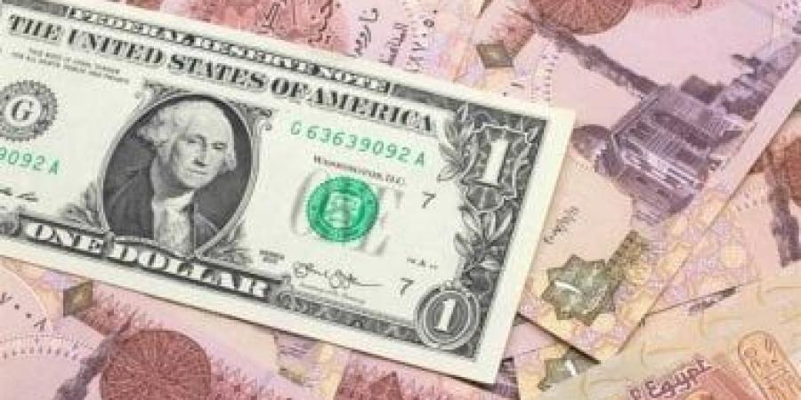 سعر الدولار اليوم الخميس 14 نوفمبر 2024  في البنوك المصرية