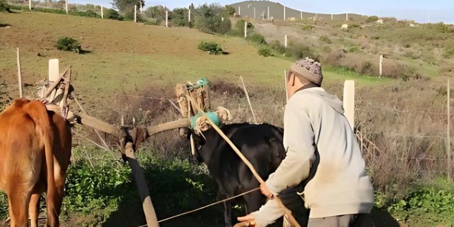 تأخر الدعم والإعانات عن فلاحي بولمان يصل لقبة البرلمان