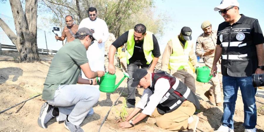 بدء أعمال تشجير الطرق السريعة في محافظة الأحمدي - سعودي فايف