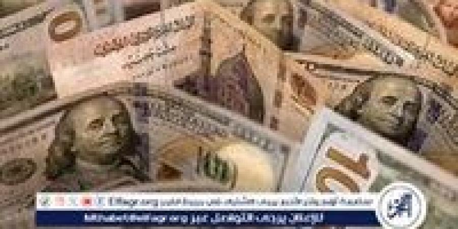 استقرار سعر الدولار مقابل الجنيه المصري اليوم السبت 16 نوفمبر 2024