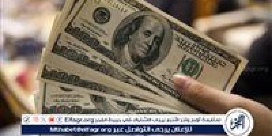 استقرار سعر الدولار أمام الجنيه المصري اليوم الأحد 17 نوفمبر 2024