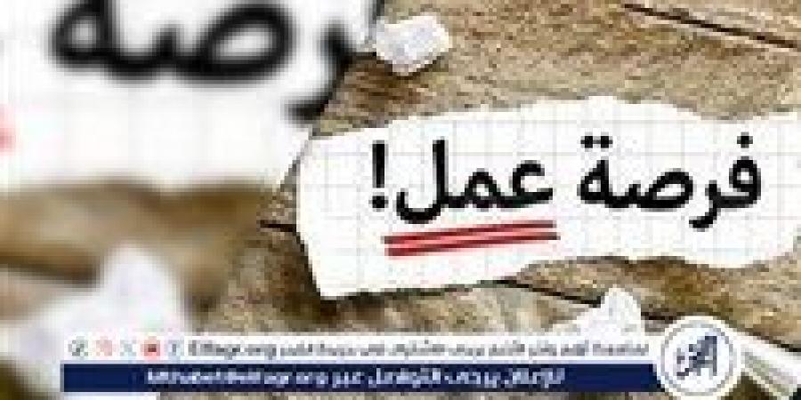 وظائف شاغرة في شركة اتصالات مصر في مجال المبيعات – نوفمبر 2024