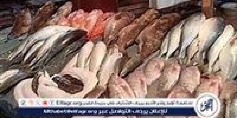 أسعار المأكولات البحرية والجمبري اليوم الأربعاء 20-11 -2024 في محافظة الدقهلية