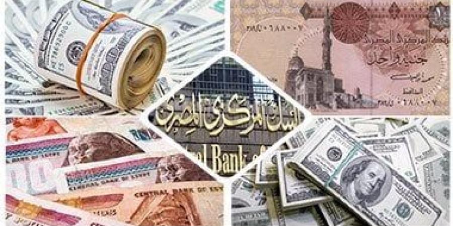 أسعار العملات اليوم الخميس 21-11-2024 أمام الجنيه المصرى - سعودي فايف