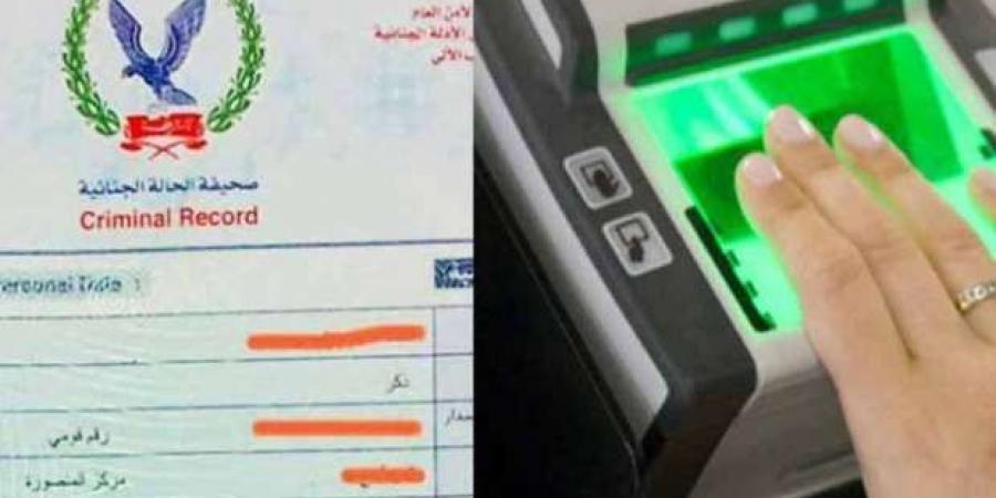 أسرع طريقة لاستخراج الفيش والتشبيه «أون لاين».. هيوصلك لحد البيت