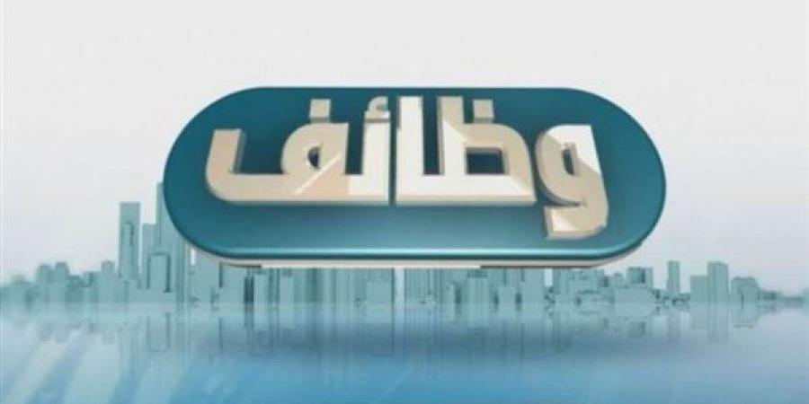 4000 درهم إماراتي.. التقديم على وظائف الإمارات 2024 للمصريين تبدأ خلال ساعات