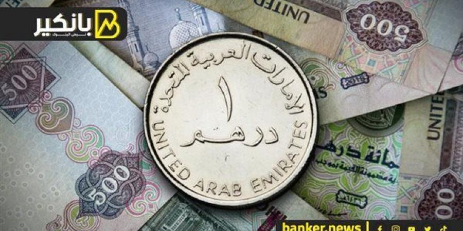 سعر الدرهم الاماراتي أمام الجنيه المصري في تعاملات اليوم الإثنين 25-11-2024