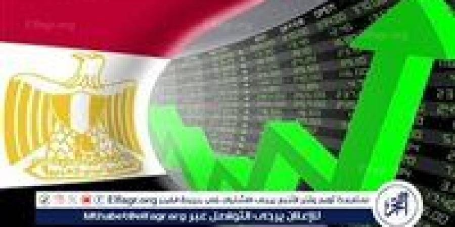 أستاذ إدارة أعمال: مصر تستهدف رفع صادراتها إلى 100 مليار دولار سنويًا