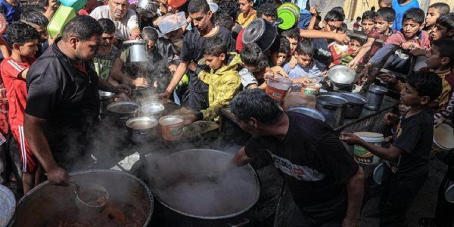 سفير مصر السابق بدولة الاحتلال: التجويع الموجود في قطاع غزة "مرعب"