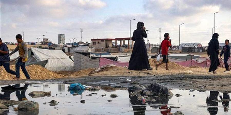 ميك نابير لـ "القاهرة الإخبارية": ما يحدث في قطاع غزة كارثي