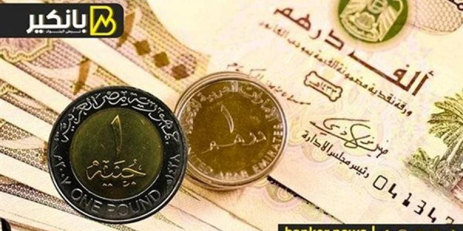 سعر الدرهم الإماراتي أمام الجنيه المصري في نهاية تعاملات اليوم الأربعاء 4-12-2024