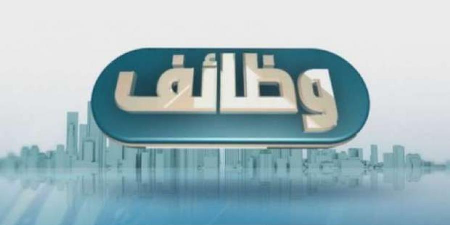 وظائف خالية في بنك القاهرة 2024.. فرصة لخريجي الكليات