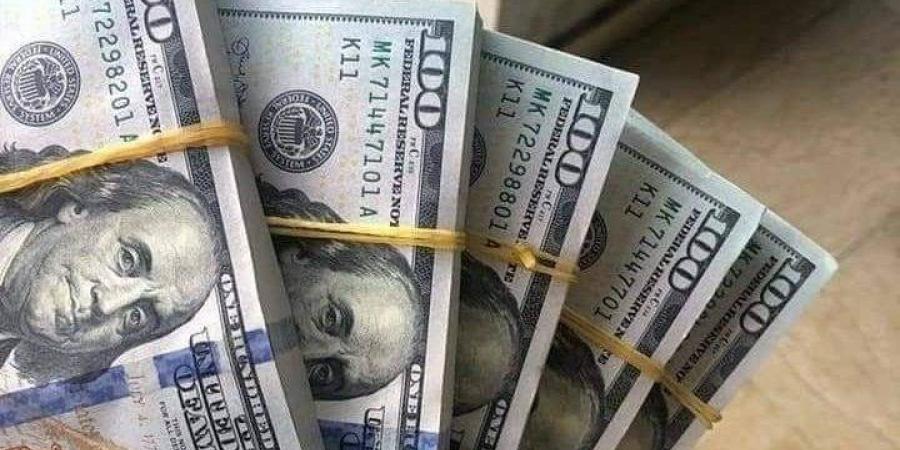 سعر الدولار يلامس 50 جنيهًا فى البنوك المصرية