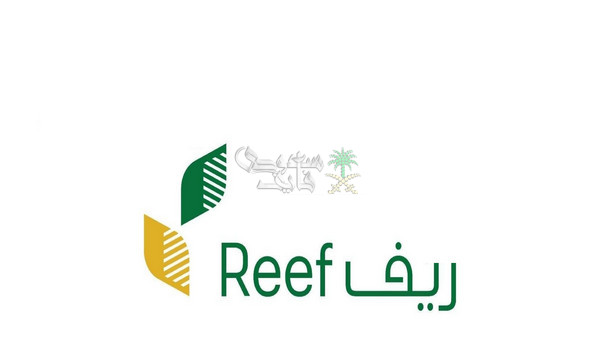 الحق قبل ضياع الفرصة.. خطوات الاستعلام عن أهلية دعم ريف 2025 عبر reef.gov.sa