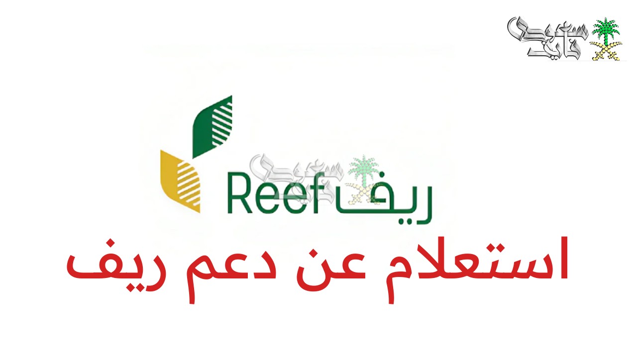 “وزارة البيئة” توضح طريقة استعلام عن دعم ريف 1446 عبر reef.gov.sa والشروط المطلوبة