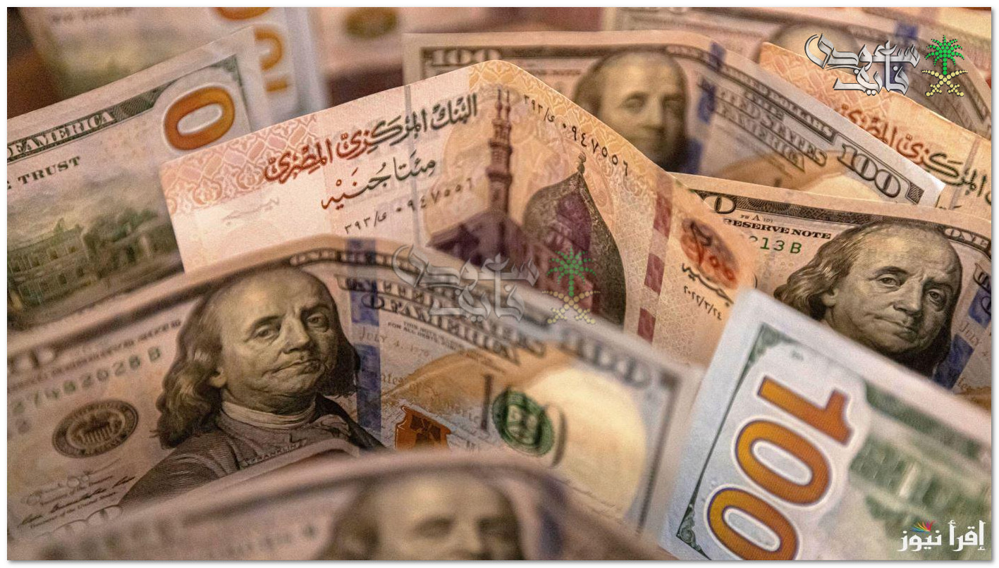 الأخضر يواصل الأرتفاع.. سعر الدولار مقابل الجنيه المصري اليوم الخميس 20-02-2025