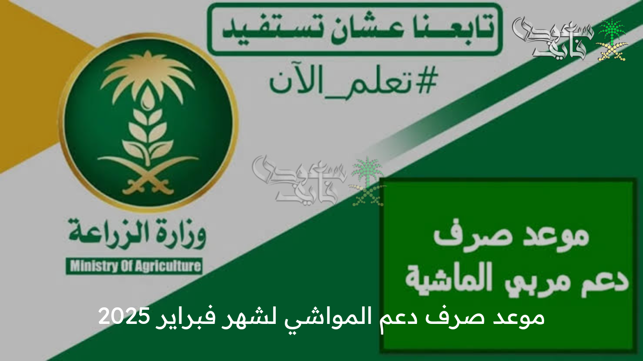 متى موعد صرف دعم المواشي لشهر فبراير 2025؟ .. وزارة البيئة والمياه توضح