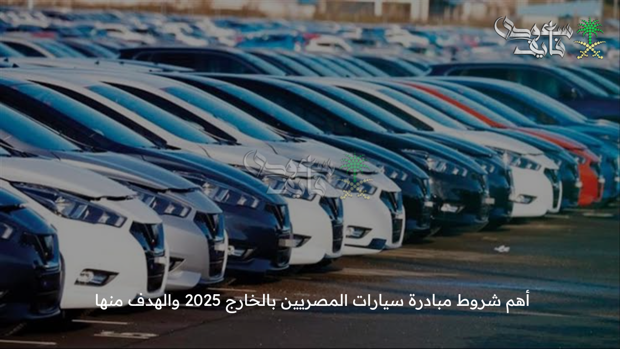 بدعم حكومي … أهم شروط مبادرة سيارات المصريين بالخارج 2025 والهدف منها