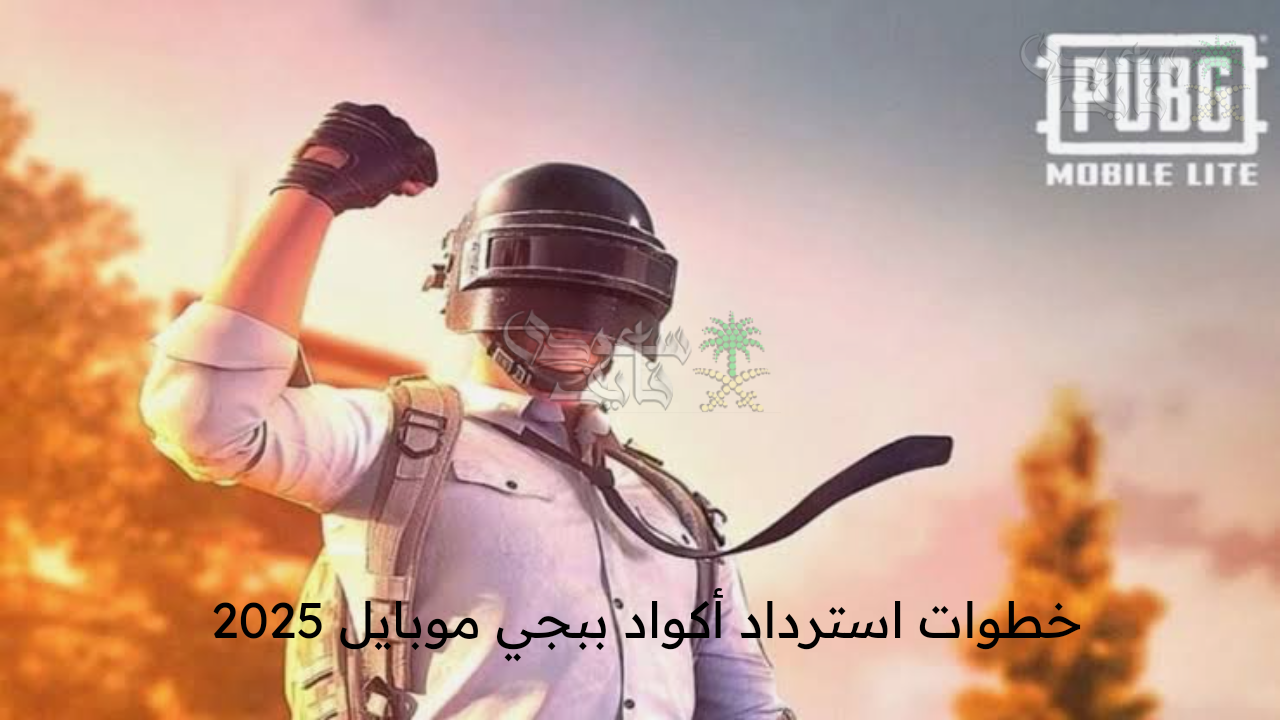 هدايا بلا حدود .. خطوات استرداد أكواد ببجي موبايل 2025 pubg mobile عبر موقع ميداس باي