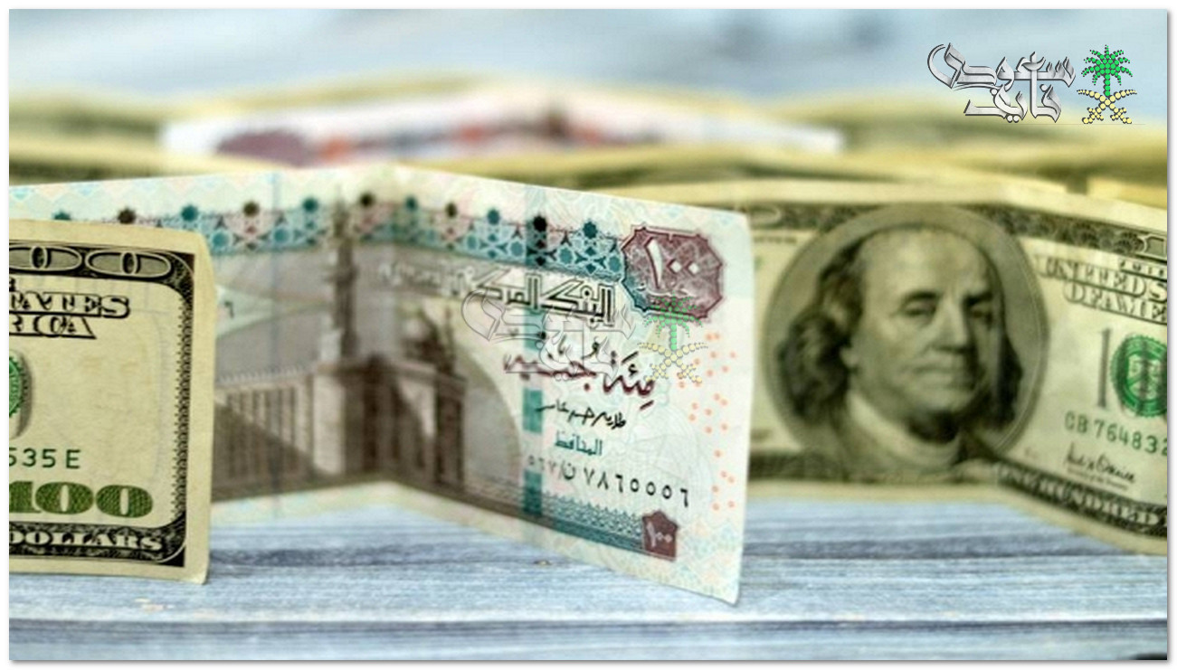 اخر تحديث.. سعر الدولار مقابل الجنيه اليوم الأحد 9-3-2025