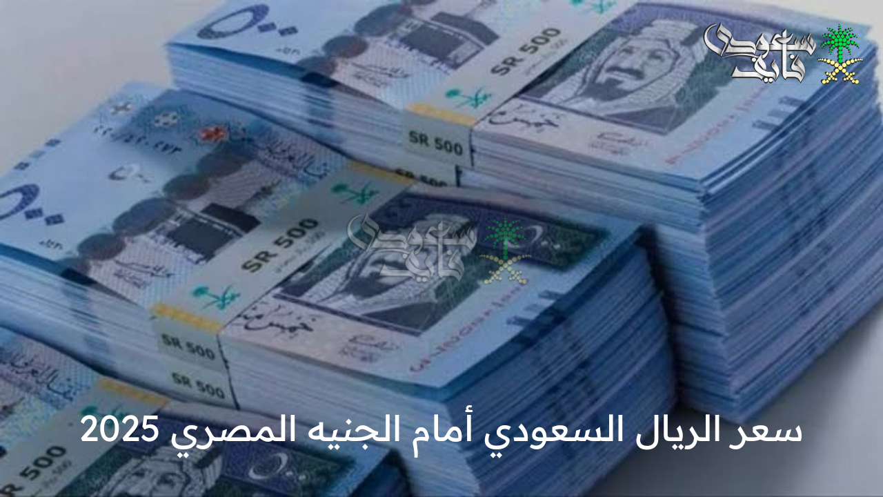 وفق آخر التحديثات … سعر الريال السعودي أمام الجنيه المصري 2025 في مختلف البنوك