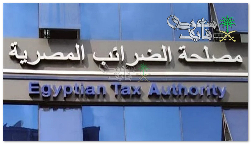 بالخطوات.. طريقة تقديم الإقرار الضريبي 2025 عبر مصلحة الضرائب المصرية