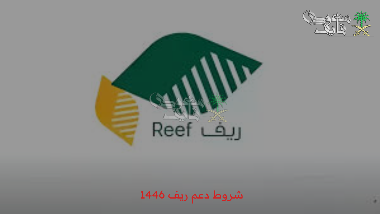 “لدعم الأسر المنتجة” شروط دعم ريف 1446 عبر reef.gov.sa والمستندات المطلوبة