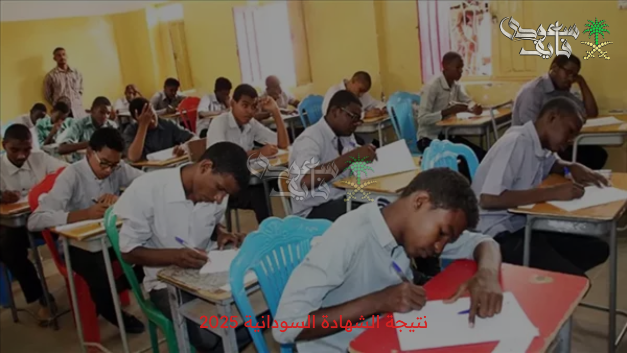 طريقة الاستعلام عن نتيجة الشهادة السودانية 2025 عبر mohe.gov.sd